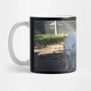 White Wolf Mug